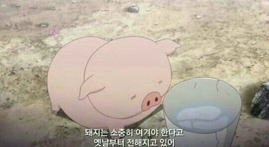 충남왕족발 이미지