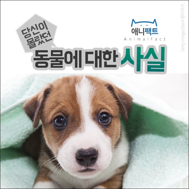 종은 이미지
