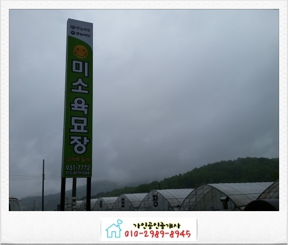 미소육묘장 이미지