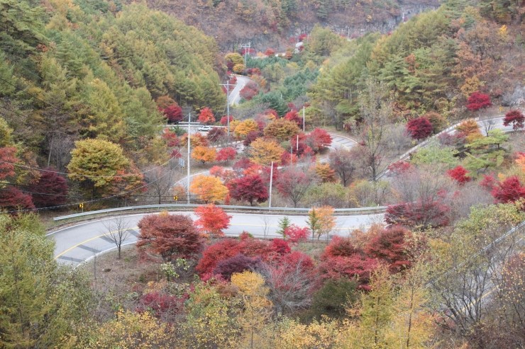 열린행정사사무소 이미지