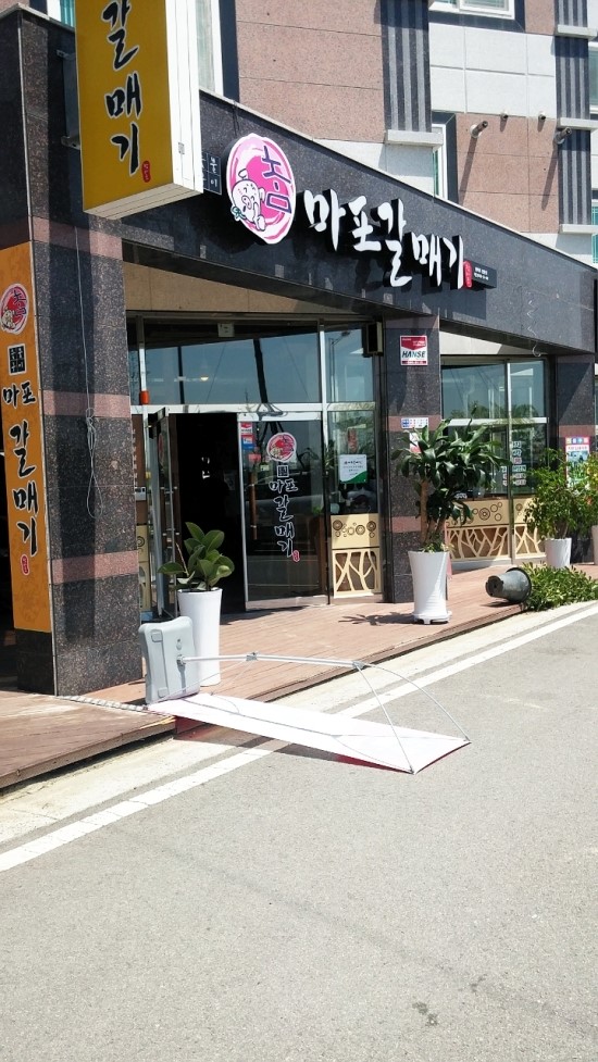 선운갈매기 이미지