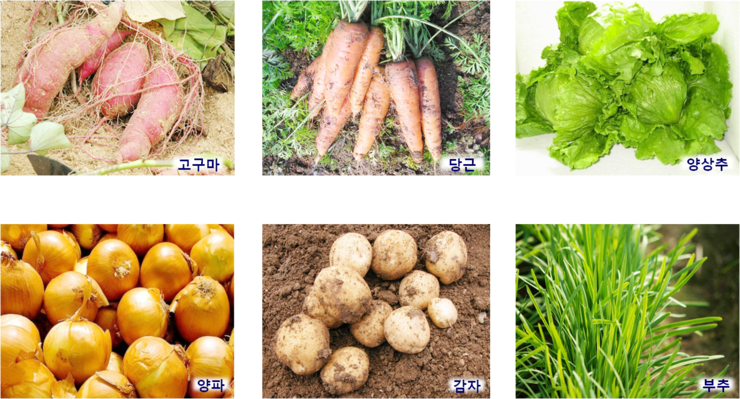 (주)더그린이엔지 이미지