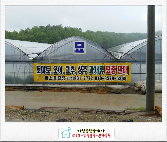 미소육묘장 이미지