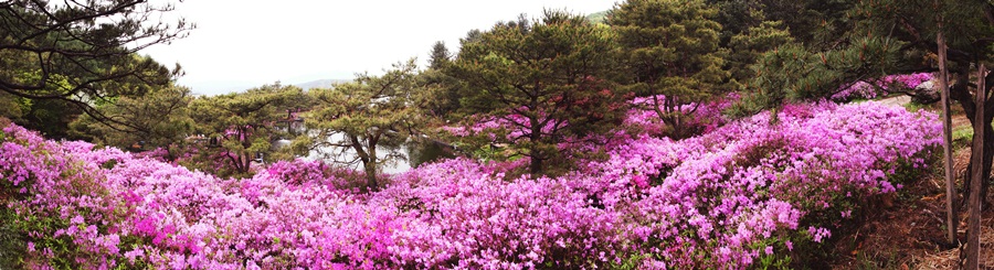 (주)청담원 이미지