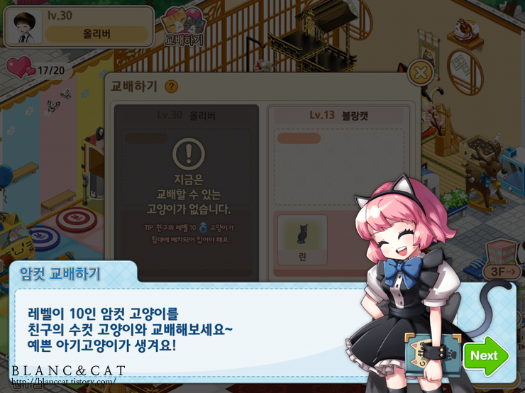 고양이다방 이미지