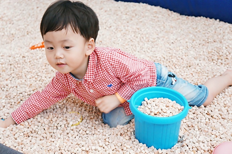 황금 키즈카페 이미지