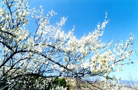 백운산민박 이미지