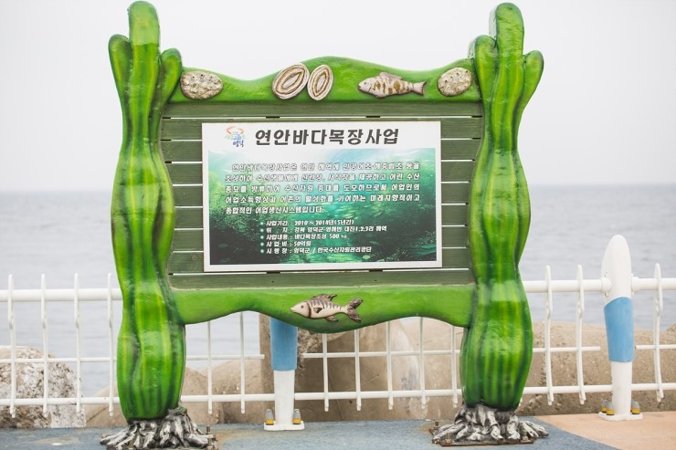 강화발이피싱? 이미지