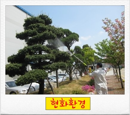 현화환경 이미지