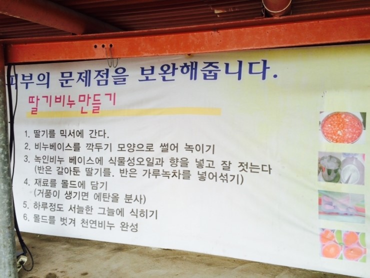 동빈네딸기체험 이미지