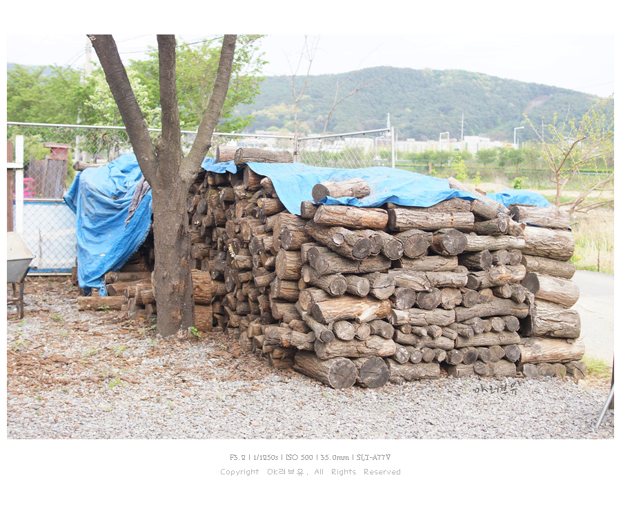 참나무골 이미지