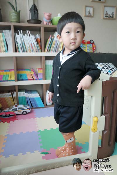 오시날개 이미지