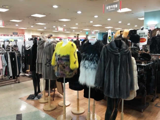 광명어패럴 이미지
