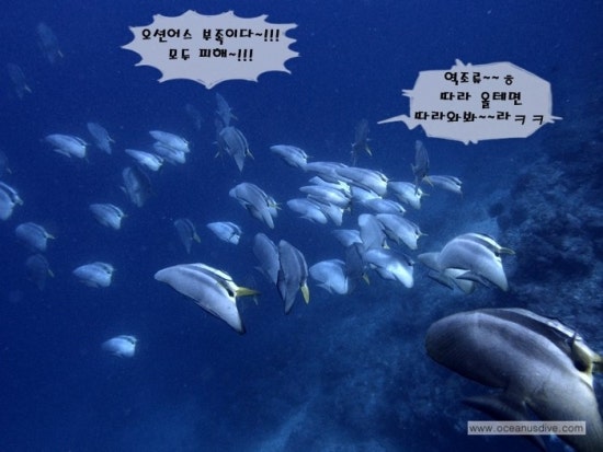 케이씨필리핀 이미지