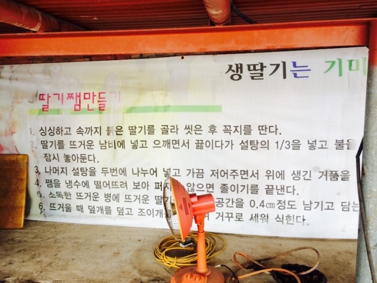동빈네딸기체험 이미지