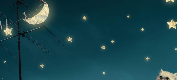 식신가 이미지