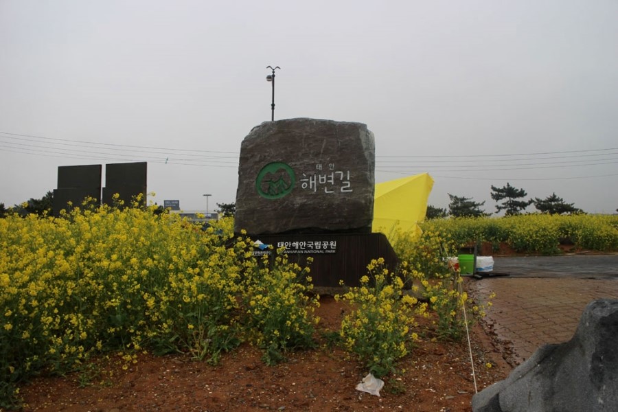 홍성한우타운 이미지