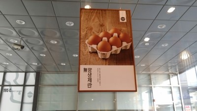 바르다김선생 이미지