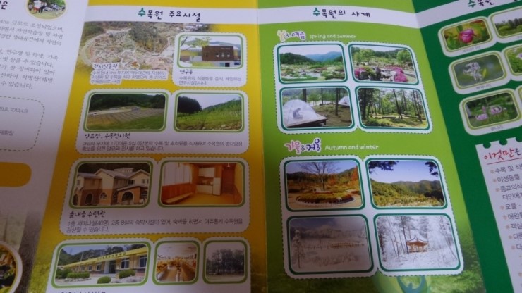 자연과숲 이미지