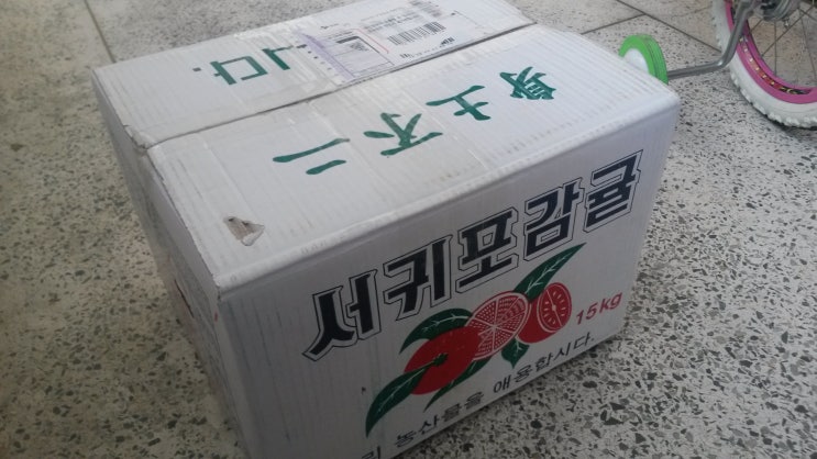 유림청과 이미지