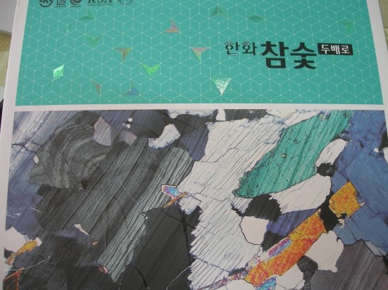 에덴벽지장판인테리어 이미지