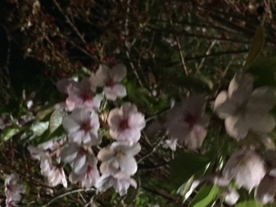 빙그레운수 이미지