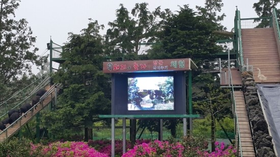 돼지야놀자 이미지