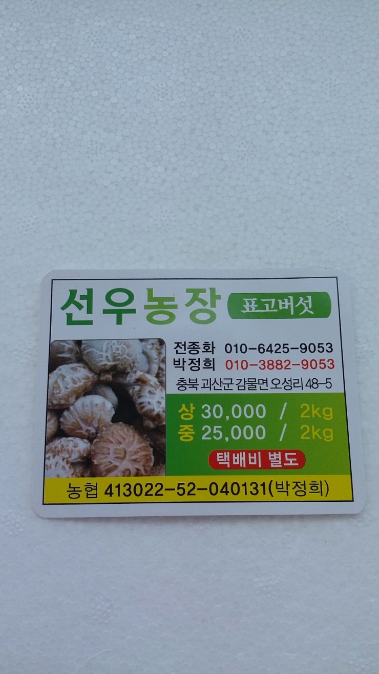 선우회관 이미지