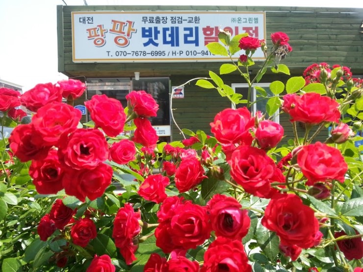 굿모닝상사 이미지