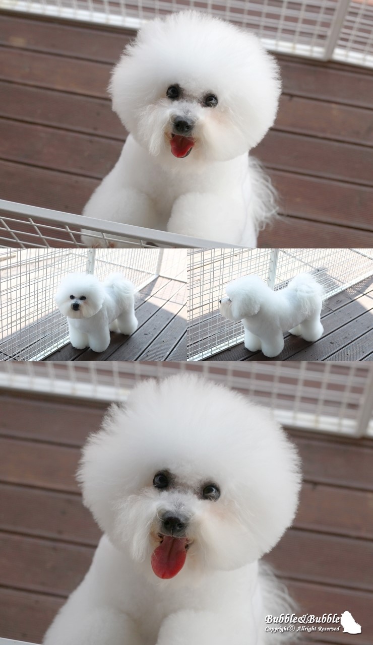 코코앤켈리 이미지