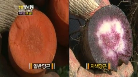진농산 이미지