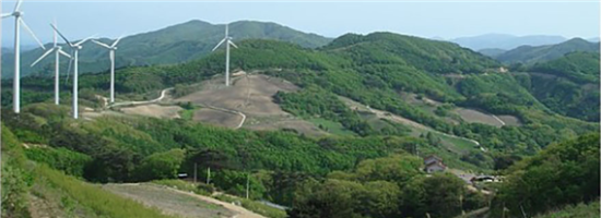 봉의곡 유성길 천마식품 이미지