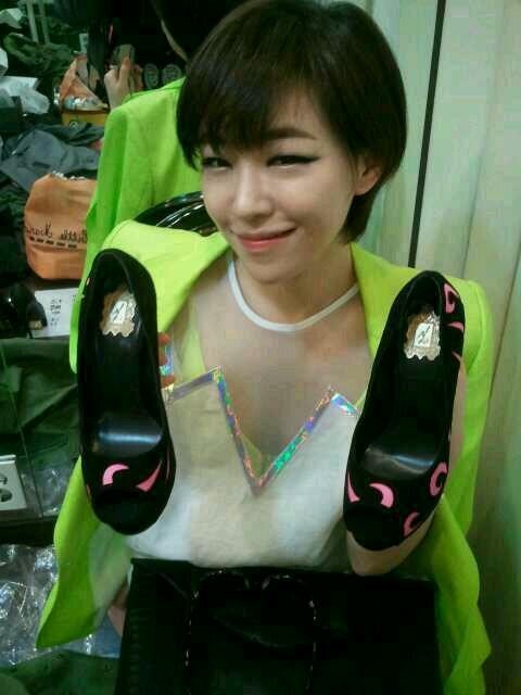 옐로우레이디버드 이미지