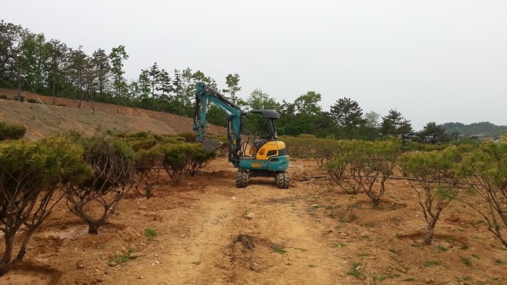 충청렌탈 이미지