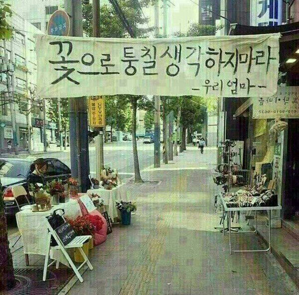 여의도한강카페 이미지