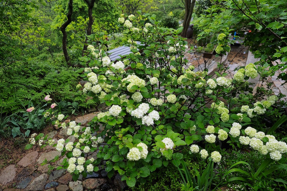 (주)대동농원 이미지