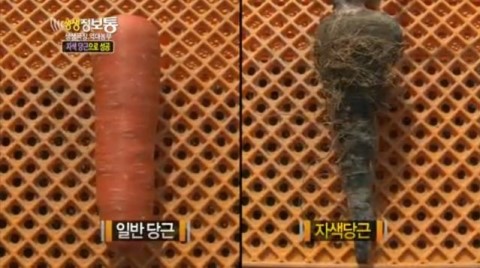 강화농산 이미지