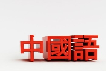 체리쉬투어 이미지