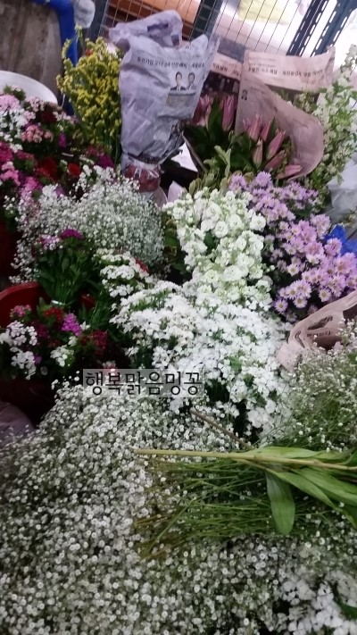 중앙꽃화원 이미지