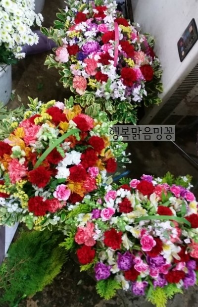 중앙꽃화원 이미지