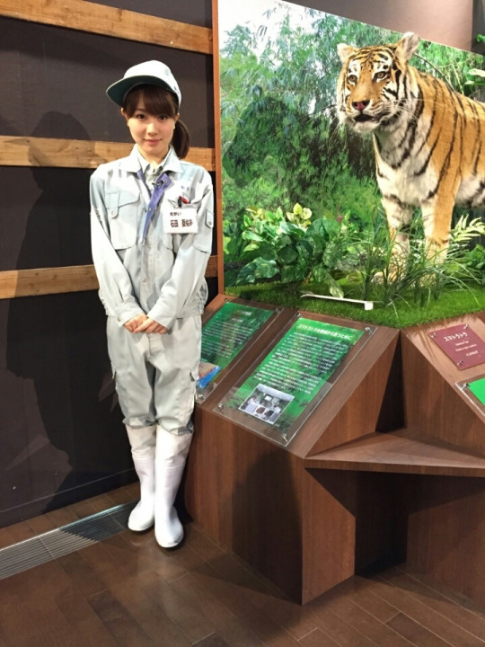 헬로데이즈 이미지
