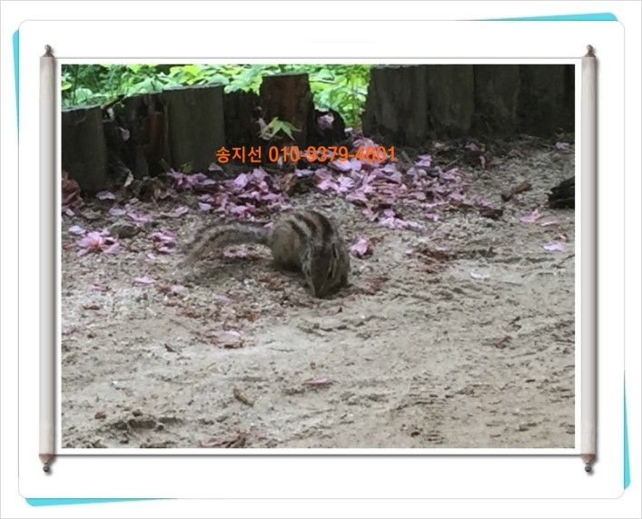 알깬생각 이미지