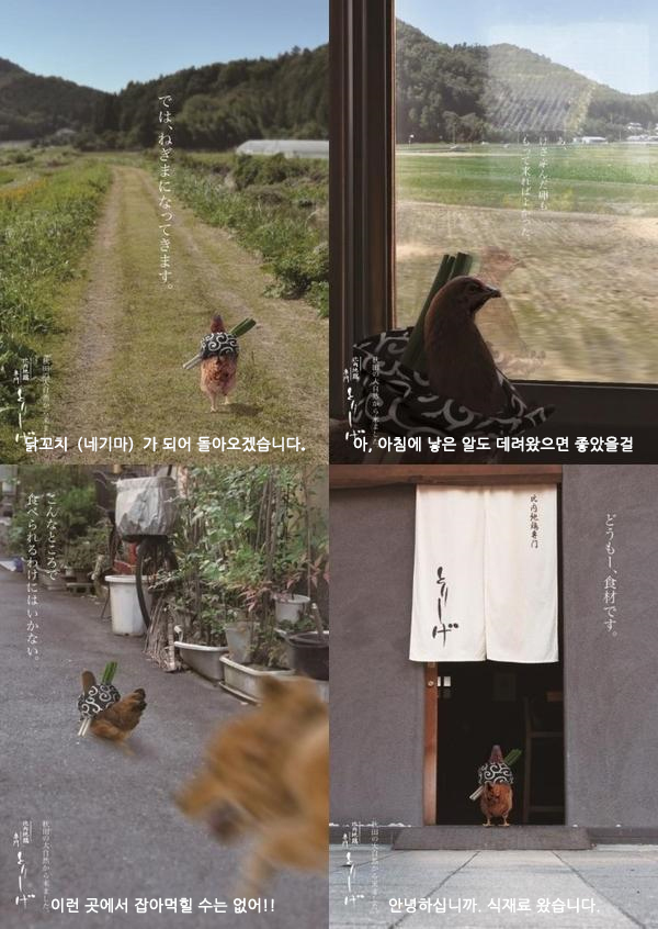엽기닭꼬치 이미지
