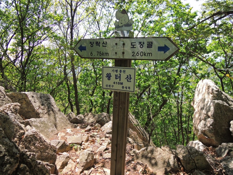 왕터산 정상 이미지