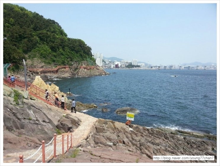 송도축산 이미지