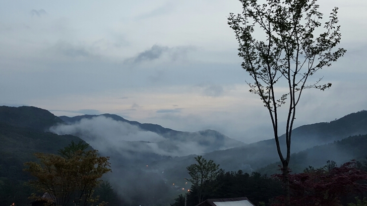 해자연캠핑장 이미지