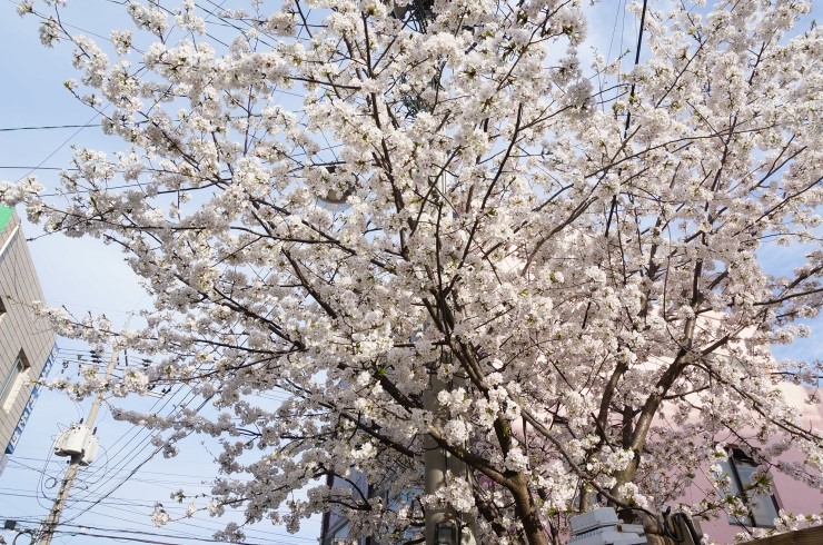 비하우스게스트하우스 이미지