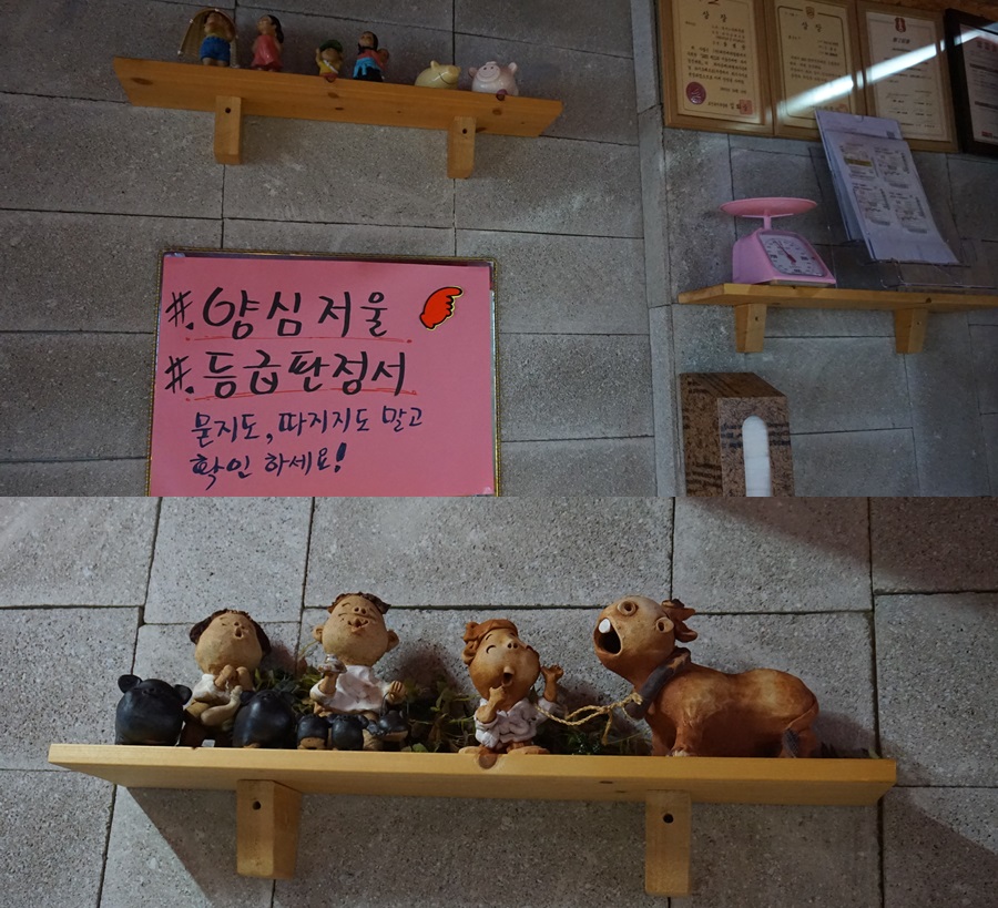 돈굽소 이미지