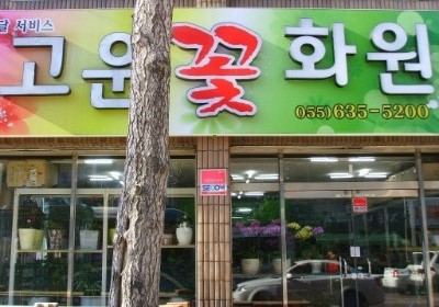 고운카서비스 이미지