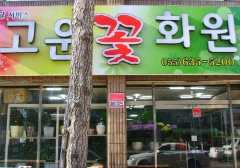 고운카서비스 이미지